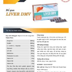 Hướng dẫn sử dụng Liver DMV