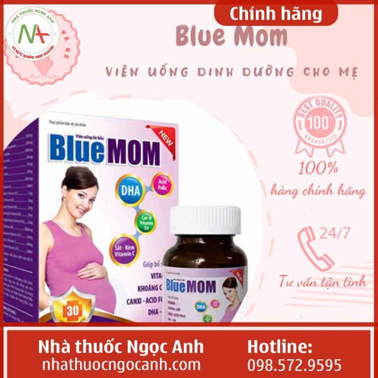 Hộp Blue Mom