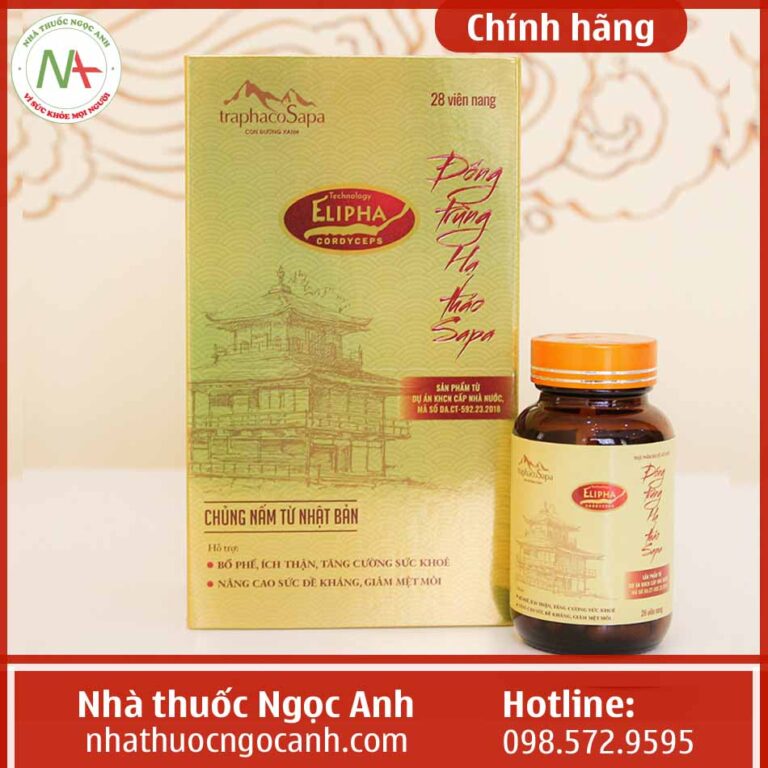 Hộp Đông trùng hạ thảo Sapa-Traphacosapa