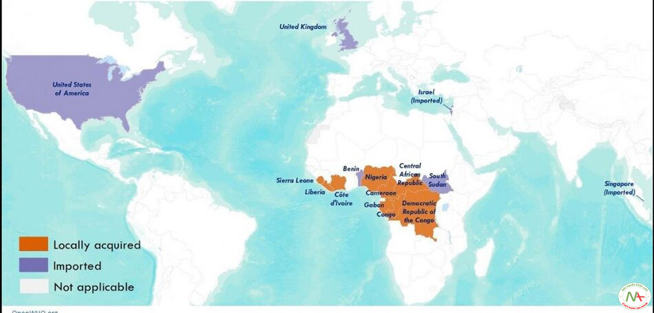 Số ca bệnh đậu mùa khỉ trên thế giới từ năm 1970 - 2021