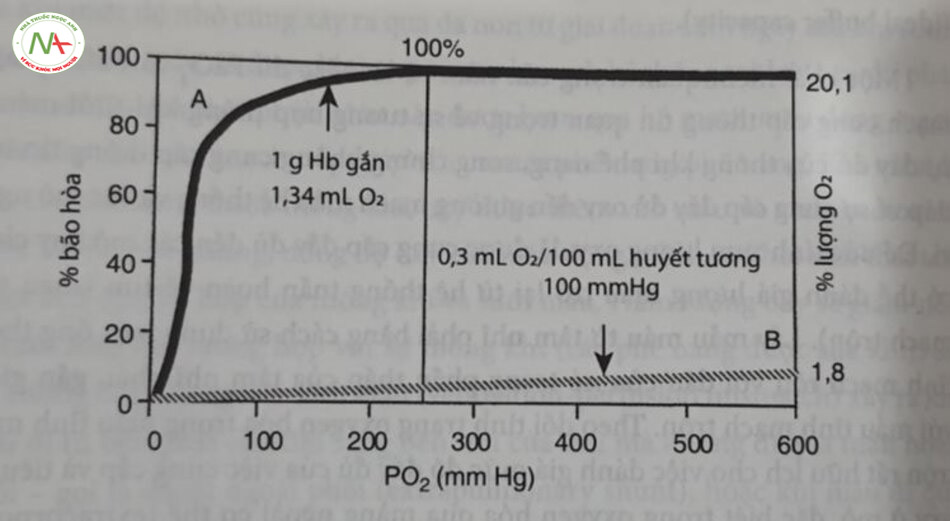 Hình 10.1 So sánh giữa đường cong phân ly của hemoglobin (đường cong A) và lượng oxy hòa tan trong huyết tương (đường cong B). Lưu ý rằng, hemoglobin gần như bão hoa 100% ở PO2 80 mm Hg. Khi bão hòa hoàn toàn, 15 g Hb sẽ liên kẽt với 20,1 mL 0 (Từ Duc G: Assessment of hypoxia in the nevvborn - tạm dịch: Đánh giá tình trang thiêu oxy ỏ trẻ sơ sinh. Pediatrics 48:469, 1971).