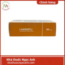 Lambertu