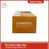 Lambertu 75x75px