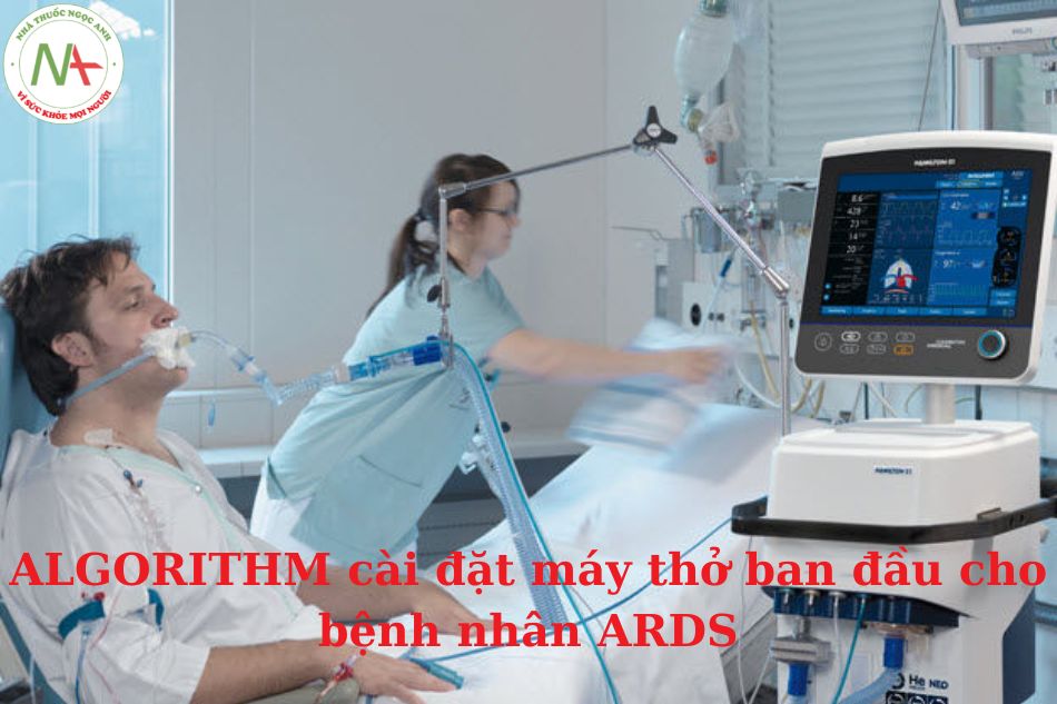 ALGORITHM cài đặt máy thở ban đầu cho bệnh nhân ARDS