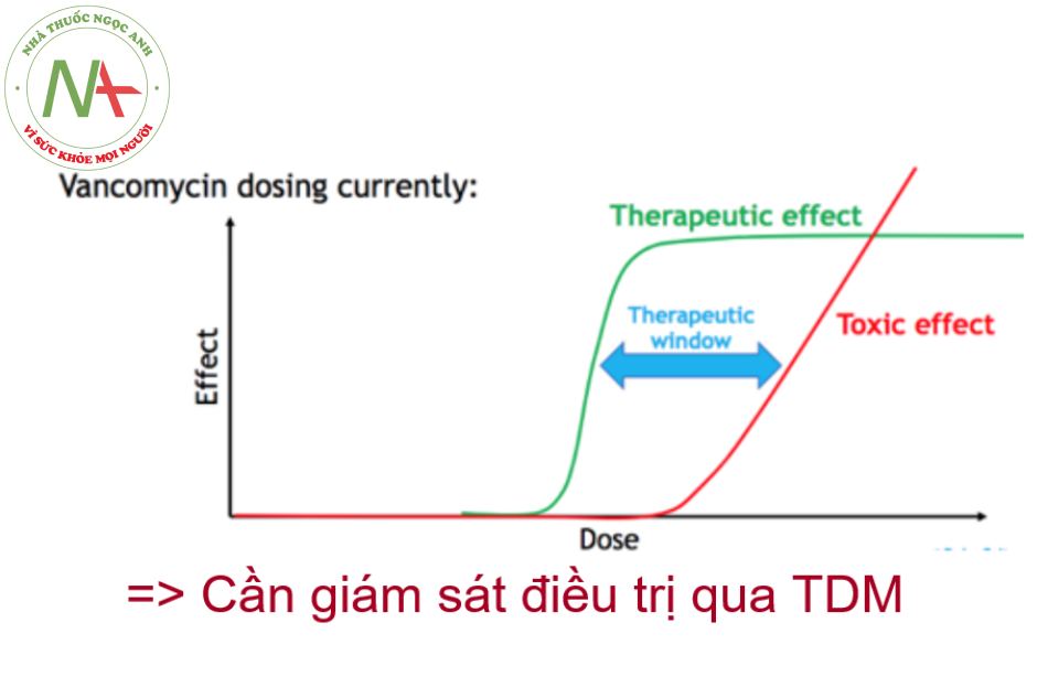 Cần giám sát điều trị Vancomycin qua TDM 