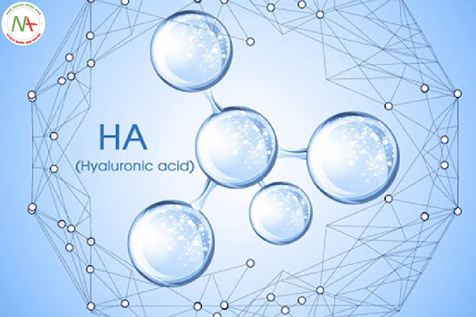 Hyaluronic acid - Giữ da luôn có độ ẩm cần thiết