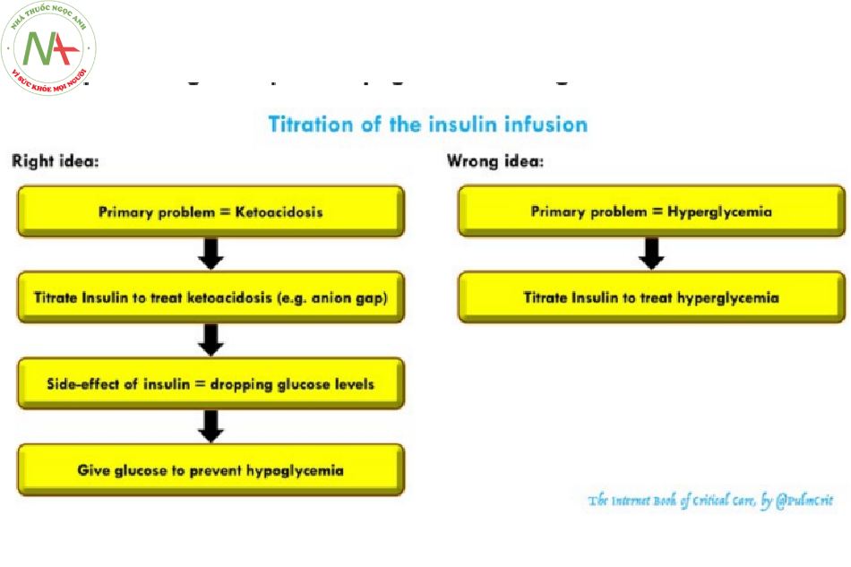 Khái niệm chung về việc sử dụng insulin