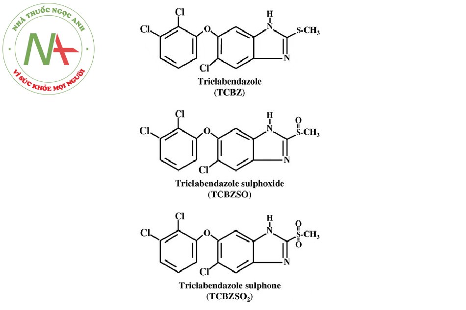 Quá trình chuyển hóa của Triclabendazole (1)