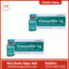 Cloxacillin 1g Imexpharm