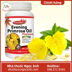 Dầu Hoa Anh Thảo Evening Primrose Oil Nutridom