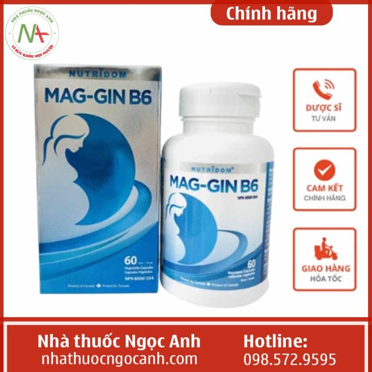 Hộp Mag-Gin B6