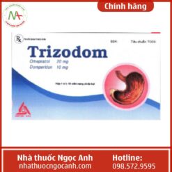 Trizodom
