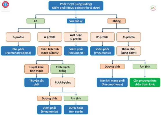 Siêu âm phổi ở bệnh nhân nặng: BLUE Protocol