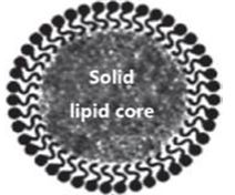 Solid liquid core 