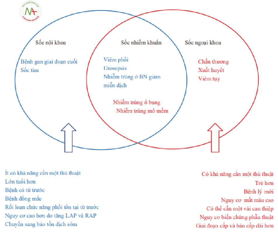 Hình 2 Sốc nội khoa và ngoại khoa. Văn bản và vòng tròn màu xanh lam, Sốc nội khoa. Văn bản và vòng tròn màu đỏ, Sốc ngoại khoa