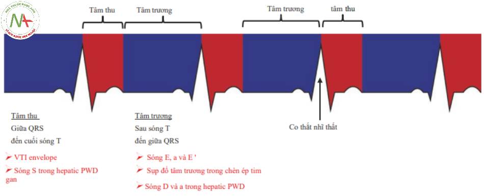 Hình 5 EGC và chu kỳ tim. Hoạt động điện của tim theo tâm thu và tâm trương. Tâm trương xảy ra từ cuối sóng T đến giữa QRS. Tâm thu xảy ra từ giữa QRS đến hết sóng T