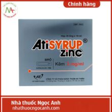 Atisyrup Zinc 20mg/10ml
