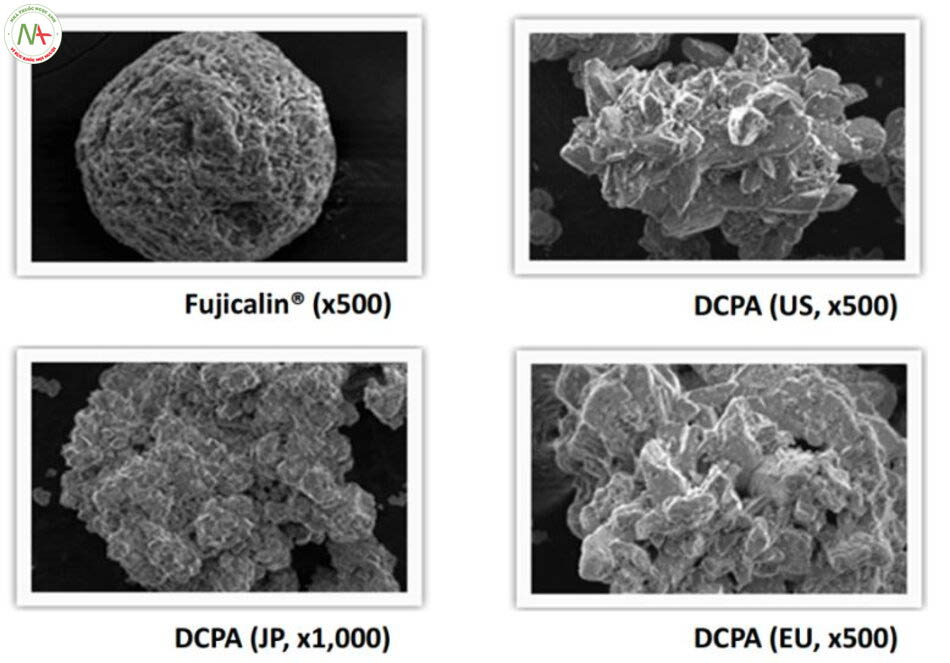 Hình dạng hạt của Fujicalin và các dòng DCPA khác dưới kính hiển vi điện tử quét (SEM)