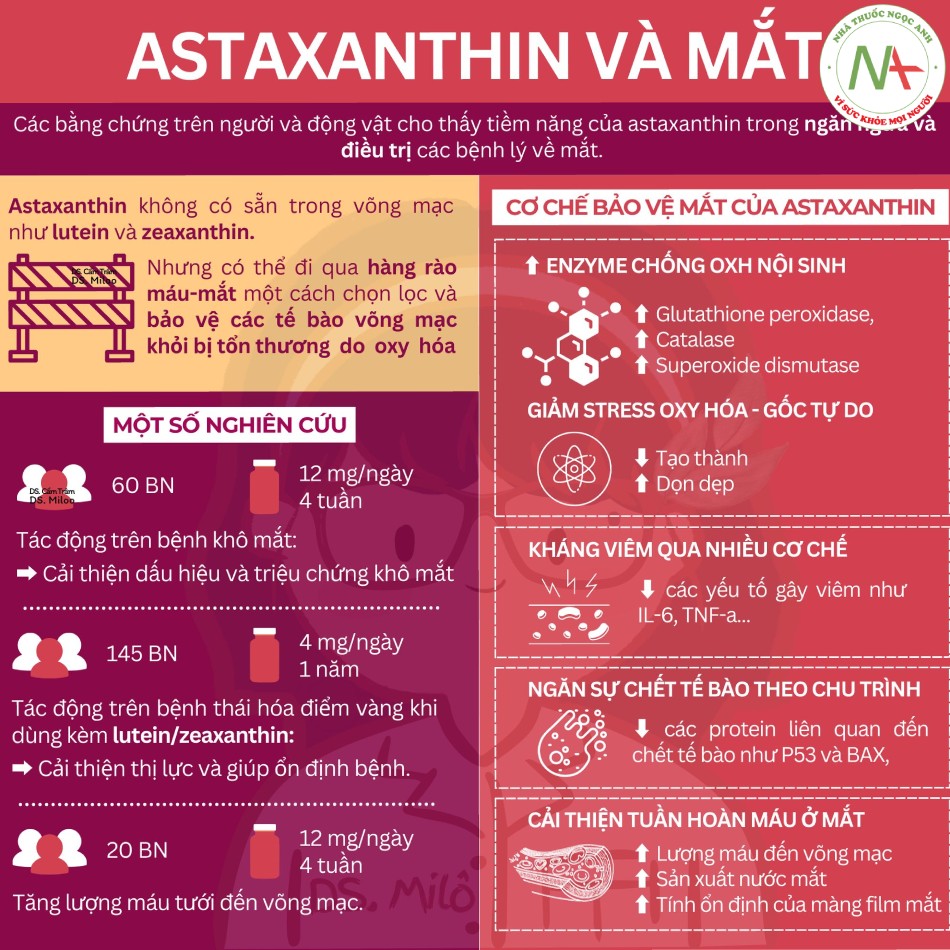 Astaxanthin và tác động lên mắt
