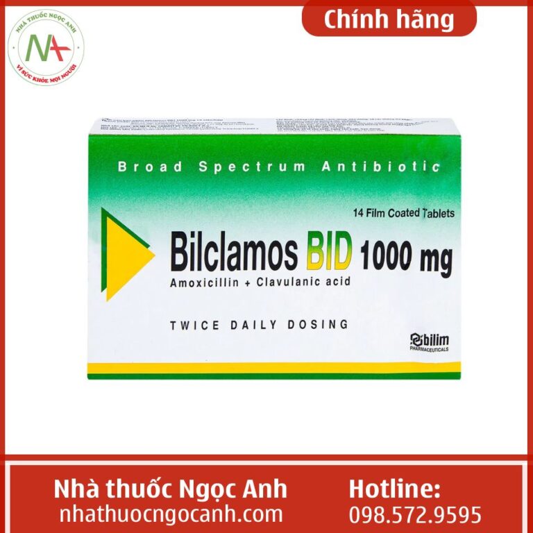 Lưu ý Của Bilclamos Bid 1000