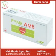 Pyme AM5