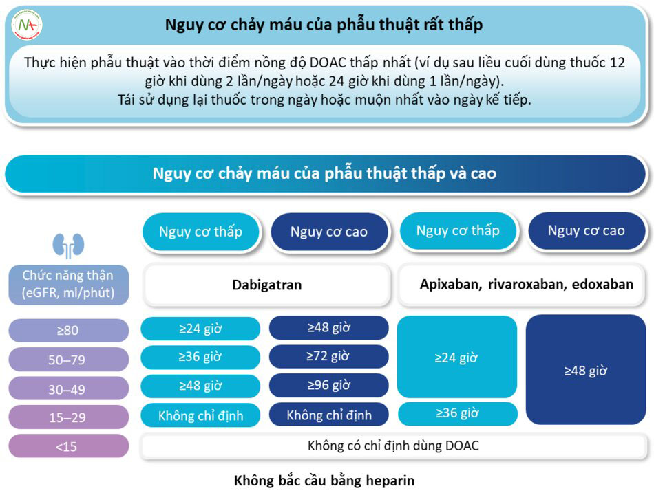 Thời điểm dùng liều DOAC cuối trước khi phẫu thuật theo chức năng thận.