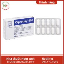 Thuốc Ciprobay 500mg là thuốc gì?