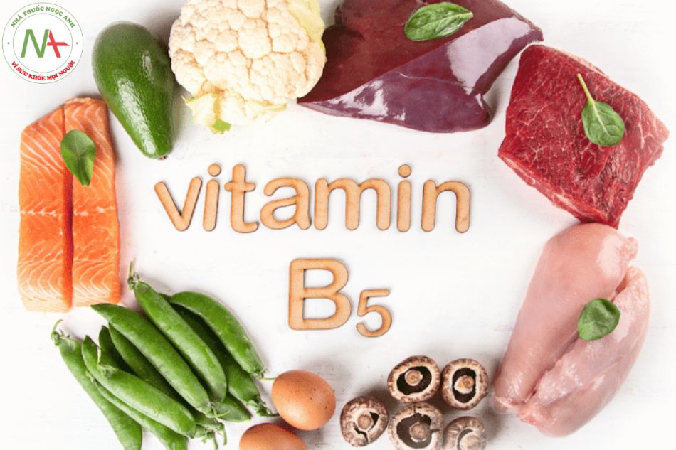 Có thể tìm thấy vitamin B5 trong các loại thực phẩm