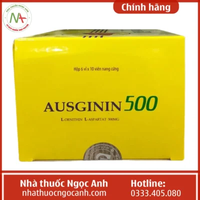 Hộp thuốc Ausginin 500
