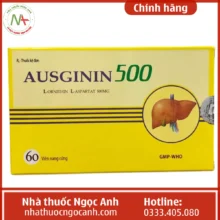 Hộp thuốc Ausginin 500