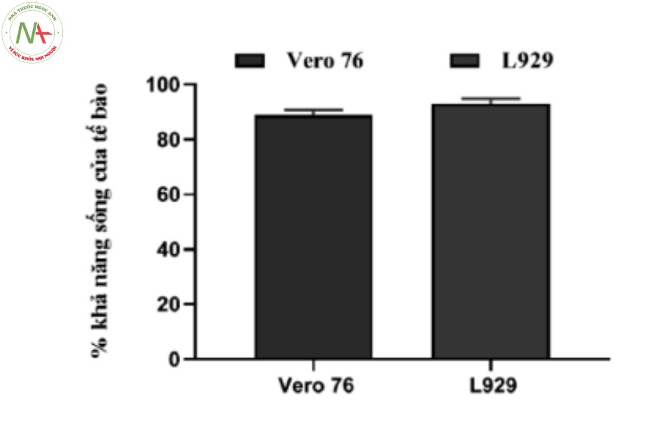 Độc tính tế bào của mẫu đối chứng âm trên tế bào Vero 76 và L929