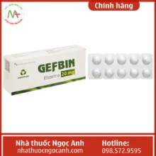 Hộp thuốc Gefbin 20mg