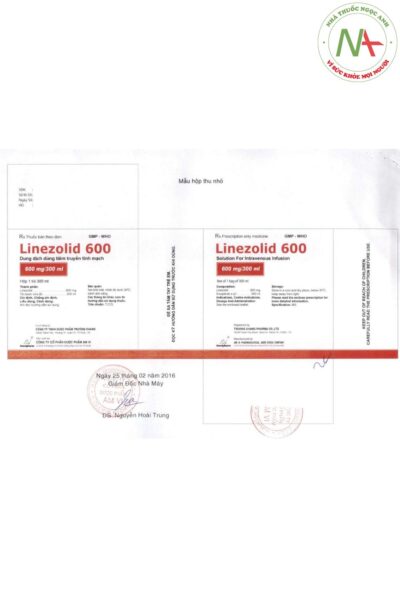 Nhãn Linezolid 600 Amvipharm