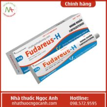 Thuốc Fudareus-H