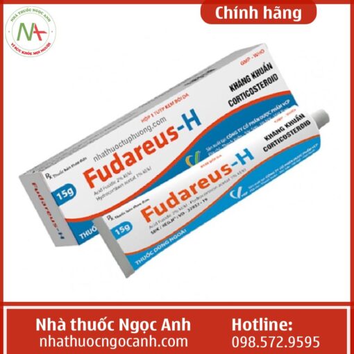 Thuốc Fudareus-H