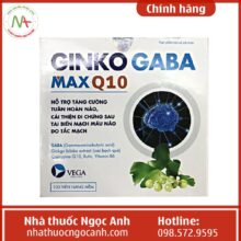 Thuốc Ginko Gaba Max Q10