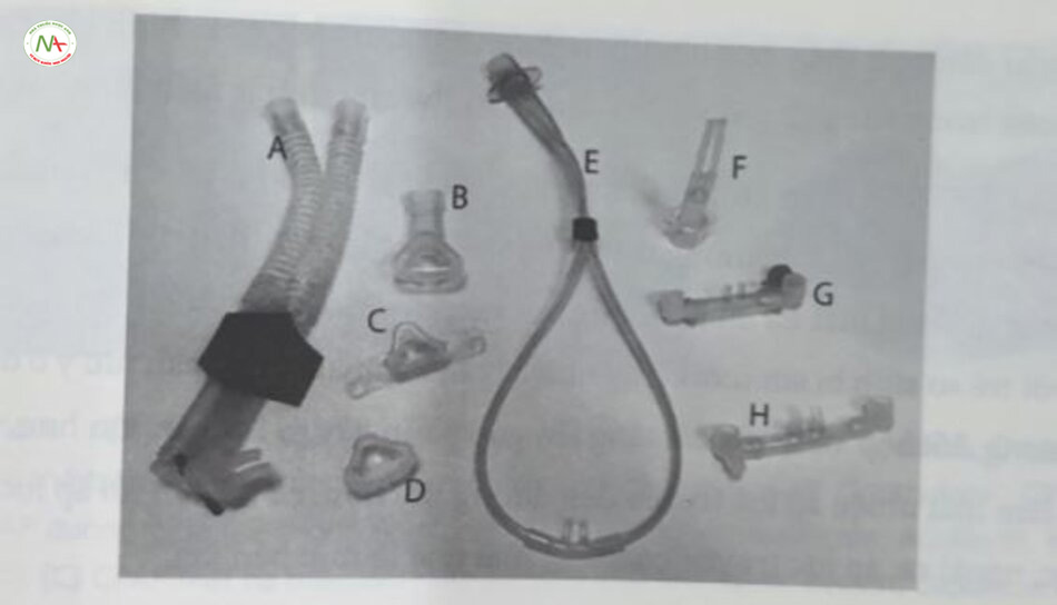 Hình 18.3 Các ví dụ về giao diện áp lực đường thủ dương liên tục bao gồm các loại mặt na mũi (A) Flexitrunk với ngành ngân hai bên mũi (Fisher & Paykel Healthcare, Auckland, New Zealand); (B) mát na Stephan EasyFlow (Stephan, Gackenback, Duc); (C) mat na mui (Medical Innovations, Puchheim, Duc); (D) mát na mui (Fisher & Paykel Healthcare, Auckland, New Zealand), (E) ông thông mũi RAM (RAM, Neotech Products, Valencia, CA, My); (F) nganh mùi hong (Binasal Airway, Neotech Products, Valencia, CA, My); (G) ngạnh mũi ngắn (Inca Prong, SLE, Surrey, Anh), (H) ngành mũi ngân (Hudson Prongs, Teleflex Medical, Durham, NC, My).