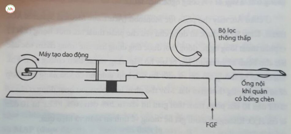 Hình 24.4 Sơ đồ của một máy tạo dao động tần số cao pít-tông. Một cơ chế pit-tông tạo ra áp lực dao động. Khi tươi đi vào hệ thống gần ông nội khí quản. Khi thừa và hỗn hợp khi thở ra thoát ra qua bộ lọc thông thấp. FGF, khi tươi. (Từ Thompson WK, Marchak BE, Froese AB, Bryan AC: High-frequency oscillation compared with standard ventilation in pulmonary injury model – tạm dịch: Dao động tần số cao so với thông khí tiêu chuẩn trong mô hình tổn thương phổi. J Appl Physiol. 52: 543, 1982),