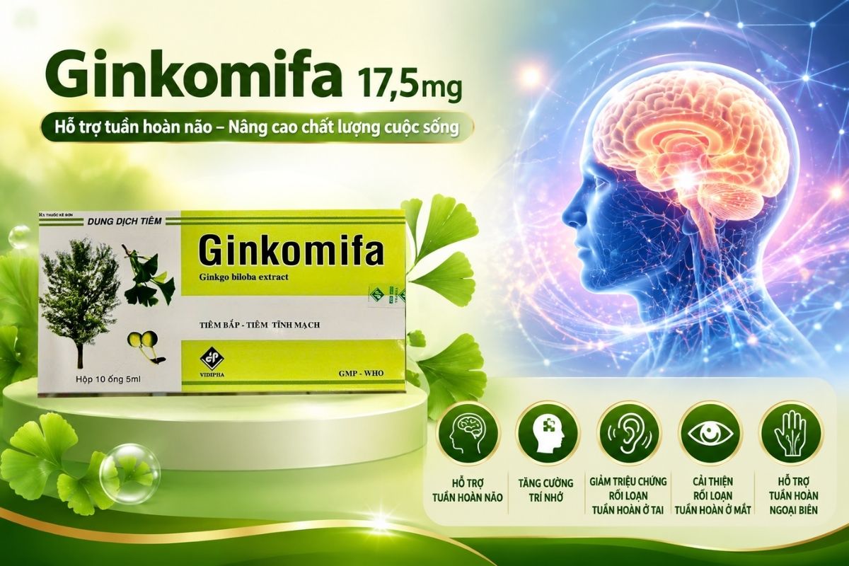 Ginkomifa 17.5mg 7 thuoc ginkomifa