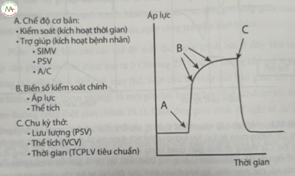 Hình 19.2 Phân loại chế độ thống khi cơ bản được hiểu rõ nhất bằng cách xem xét điều gì khởi tạo việc bơm phòng (điểm A), cách áp lực và lưu lượng được điều hòa trong thời gian bom phòng (điểm B), và cuối cùng, nguyên nhân nào khiến máy thở chấm dứt bom phỏng (điểm C). AC, thông khi trợ giúp-kiểm soát, PSV, thông khi hỗ trợ áp lực, SIMV thống khi bắt buộc ngắt quãng đồng bộ; TCPLV, thông khí theo chu kỳ thời gian, giới hạn áp lực; VCV, thông khi kiểm soát thể tích.
