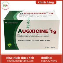 Augxicine 1g