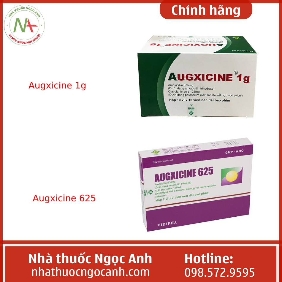 Augxicine