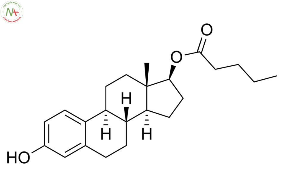 Cấu trúc phân tử Estradiol valera