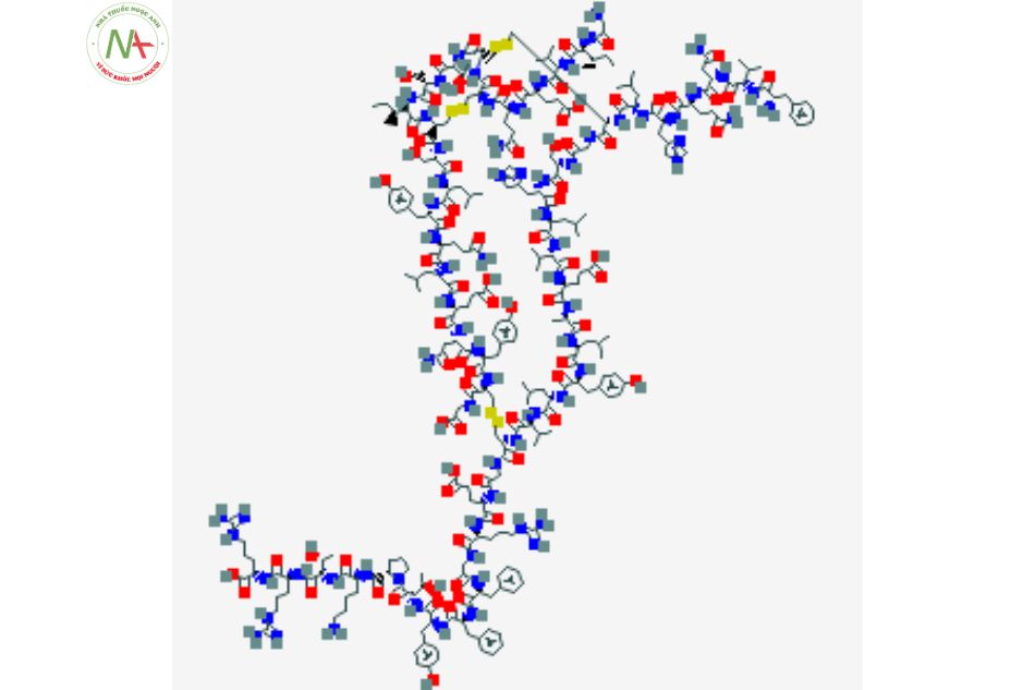 Cấu trúc phân tử