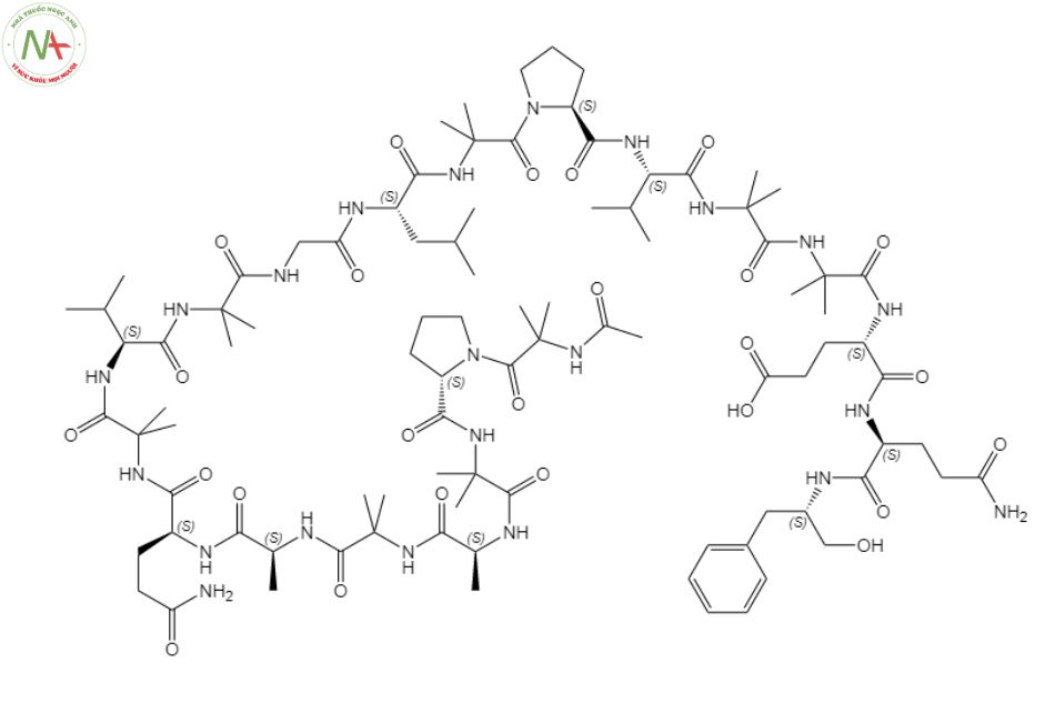 Cấu trúc phân tử Liraglutide 