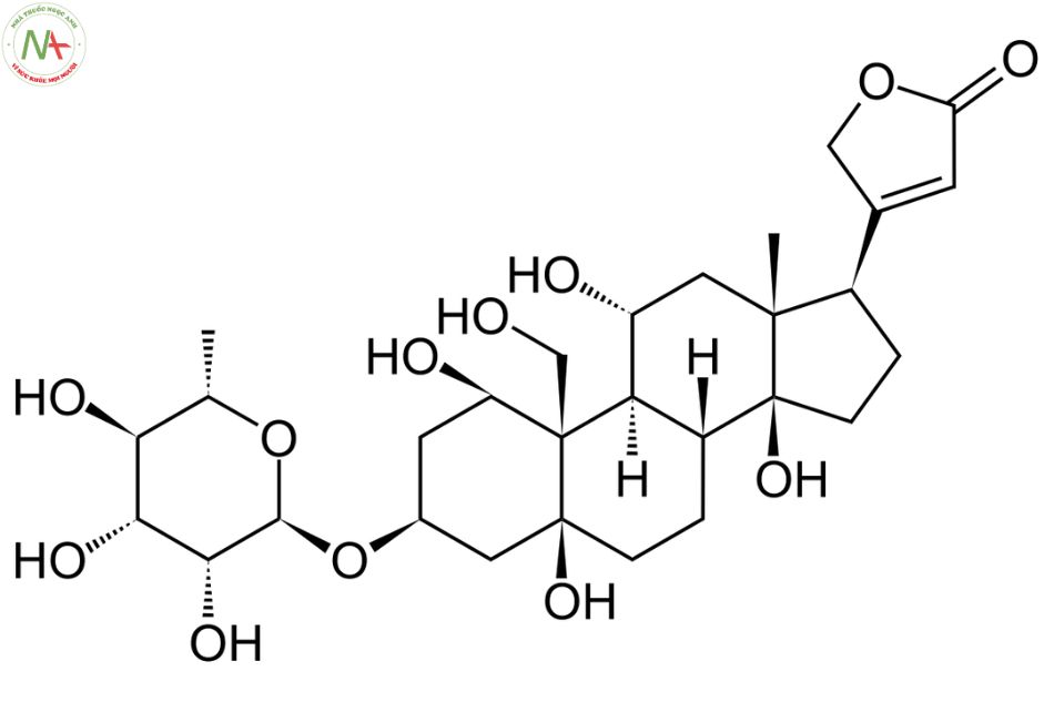 Cấu trúc phân tử Ouabain