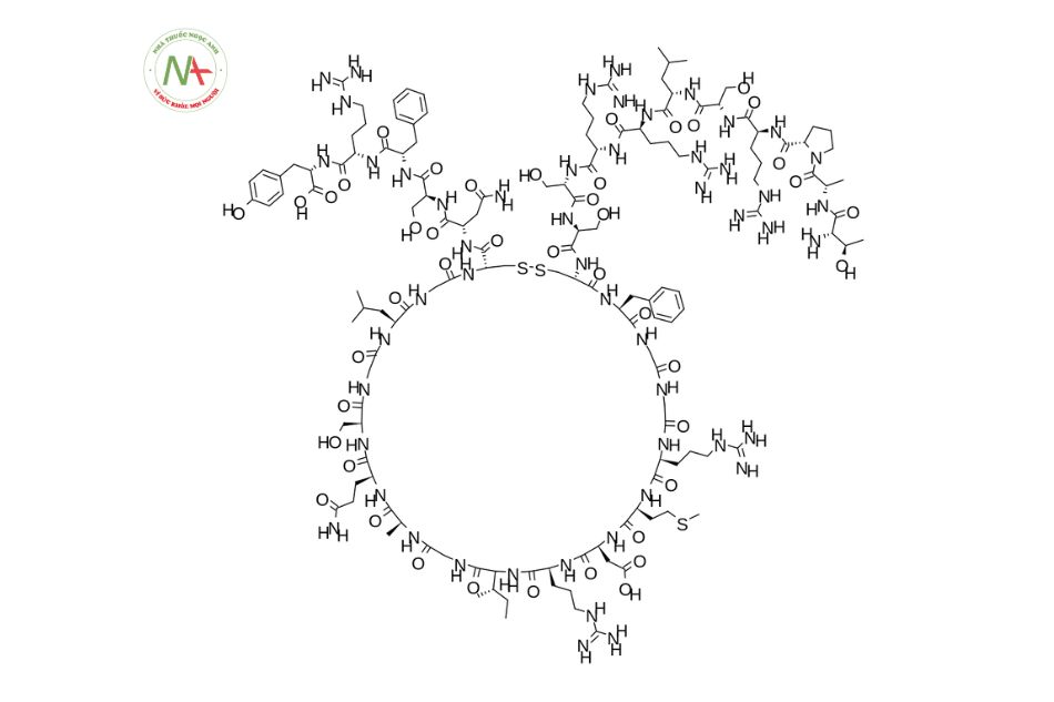 Cấu trúc phân tử