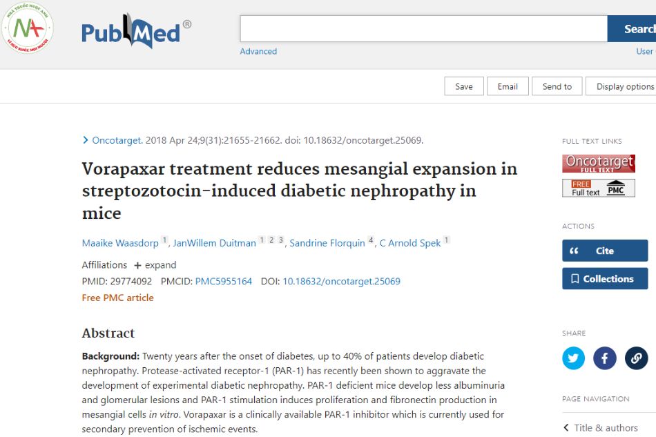 Vorapaxar treatment reduces mesenchymal expansion in streptozotocin-induced diabetic nephropathy in mice.
