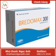 Bredomax 300