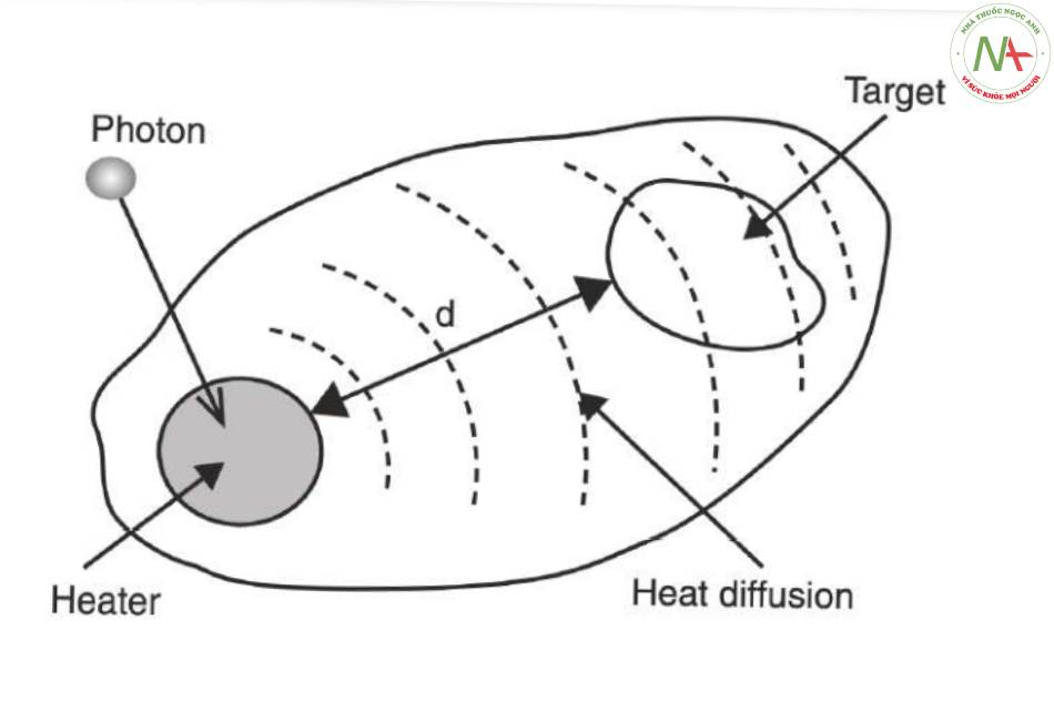 Cấu trúc chung của mô đích sinh học với sự phân chia không gian giữa mô đích  và chất hấp thụ (bộ gia nhiệt)